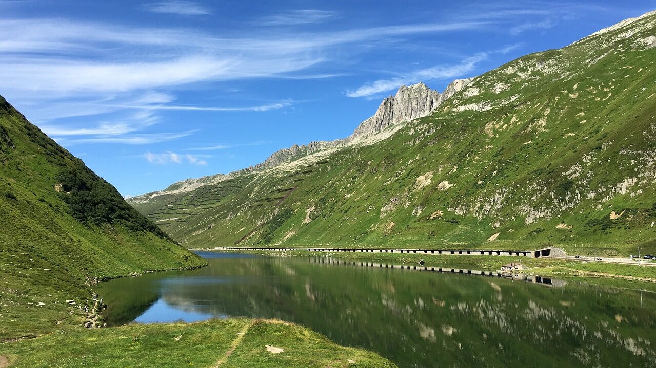 Michaela Meier Coaching