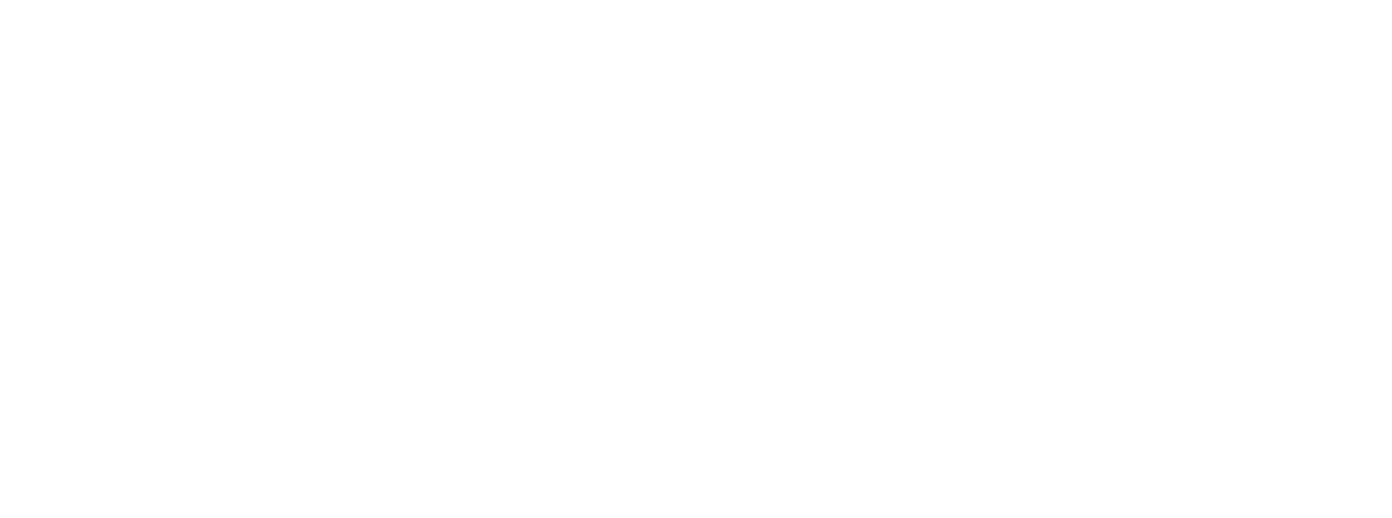 Michaela Meier Coaching